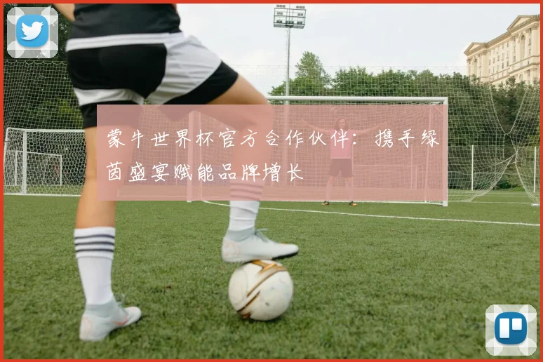 蒙牛世界杯官方合作伙伴：携手绿茵盛宴赋能品牌增长