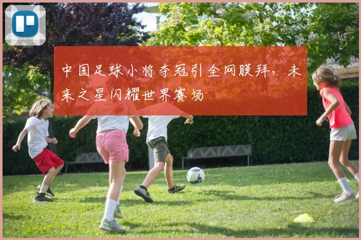 中国足球小将夺冠引全网膜拜，未来之星闪耀世界赛场