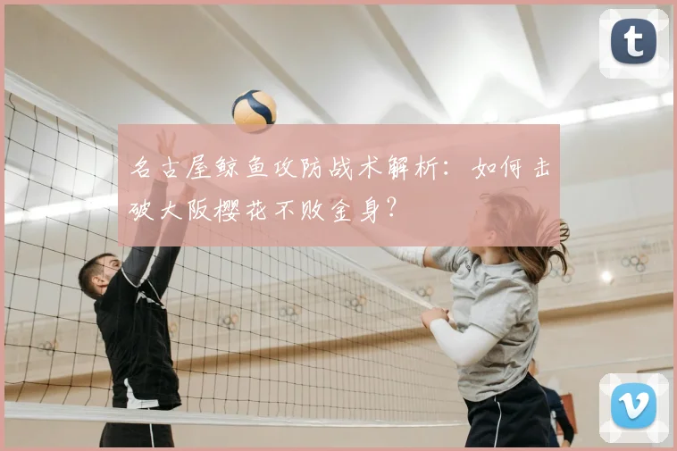 名古屋鲸鱼攻防战术解析：如何击破大阪樱花不败金身？